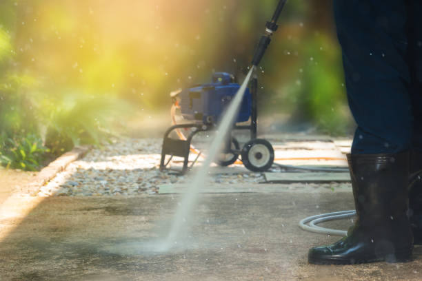 Best Soft Washing  in Lexington, WA